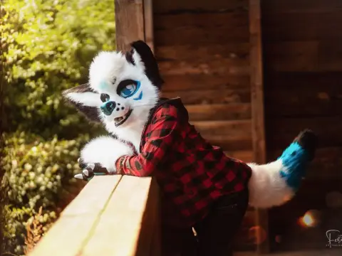 Fursuit of Gansu 
