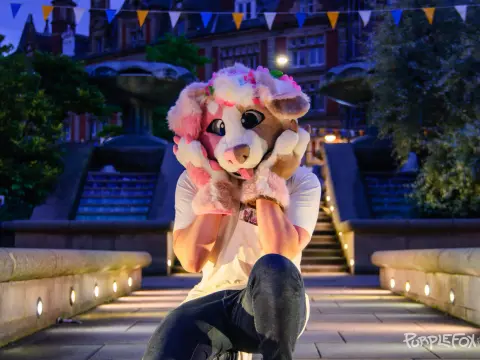 Fursuit picture from Purple Fox albums