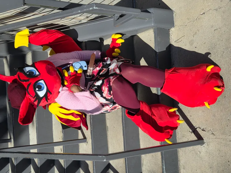 ToonyCraftsFursuits portfolio