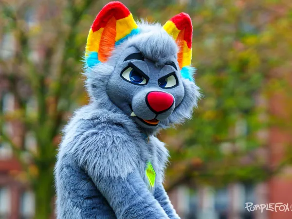 Fursuit picture from Purple Fox albums