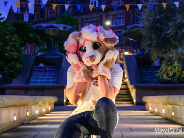 Fursuit picture from Purple Fox albums