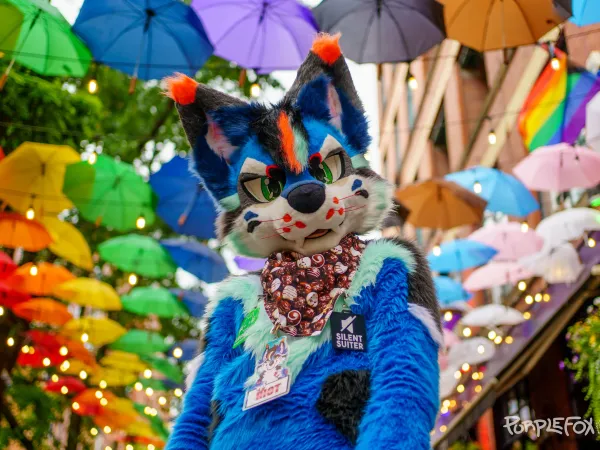 Fursuit picture from Purple Fox albums